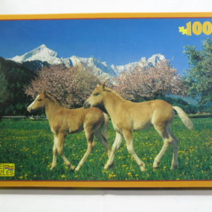 Puzzel van paarden.