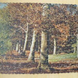 Oude puzzel, Bruno, bostaffereel