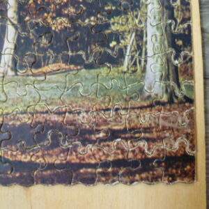 Oude puzzel, Bruno, bostaffereel