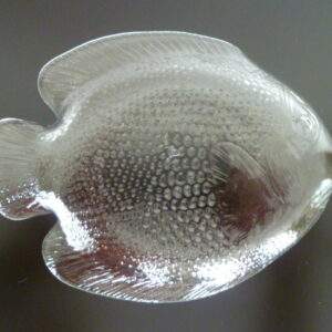 Set assiettes / bordjes Poisson Arcoroc