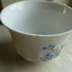 Kop en schotel, blauw bloemetje, Wunsiedel, Bavaria Porcelaine