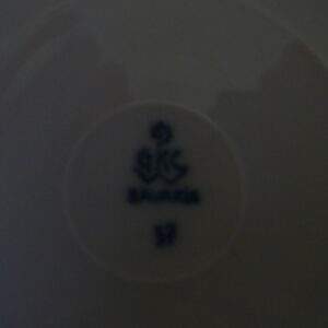 Kop en schotel, Bavaria Saksisch blauw