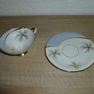 Kop en schotel Bavaria Johann Seltmann Vohenstrauss