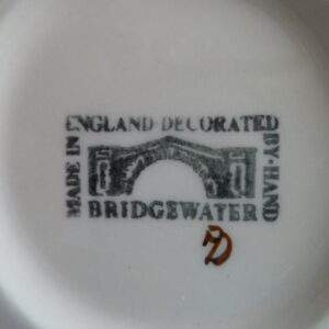 Bridgewater, kop en schotel, made in England