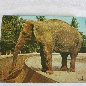 Houten puzzel van een Olifant