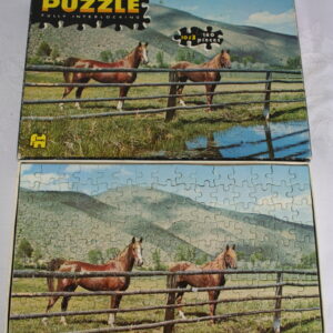 Alternative view of Paarden in de wei