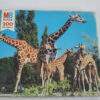 Zoo serie Giraffen